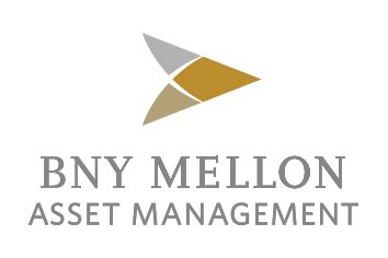 bny mellon diversified international fund|BNY Mellon Diversified International Fund Class Y .